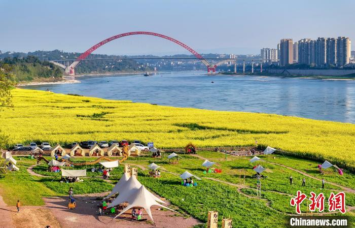 四川合江:金色花海惹人醉|花海|李贵平|泸州市_新浪新闻