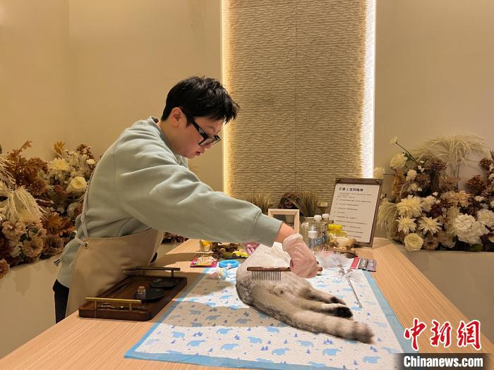 广西90后宠物殡葬师守护主宠深情温暖离别时刻