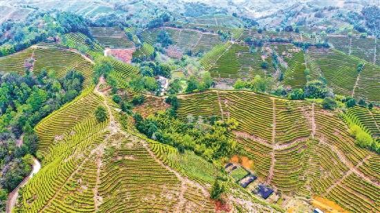 镇域提质迎来一个新"合水"今年,合水镇二三村迎来了大喜事.