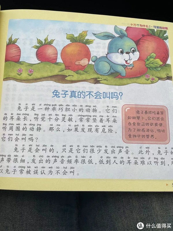 兔子为什么叫