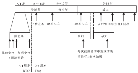 图源：中国百日咳行动计划专家共识