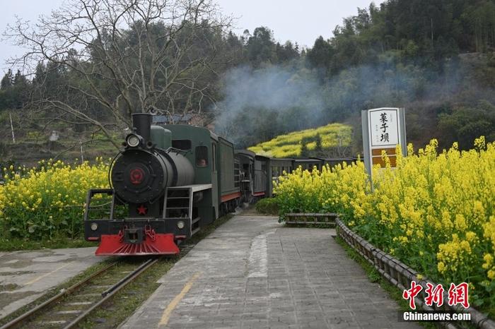 成都油菜花景点小火车图片