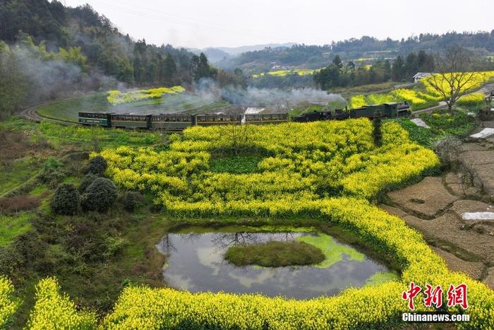 四川犍为油菜花图片