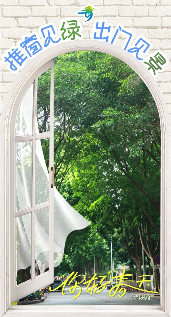 暖阳回归,在青秀一开窗就是好风景