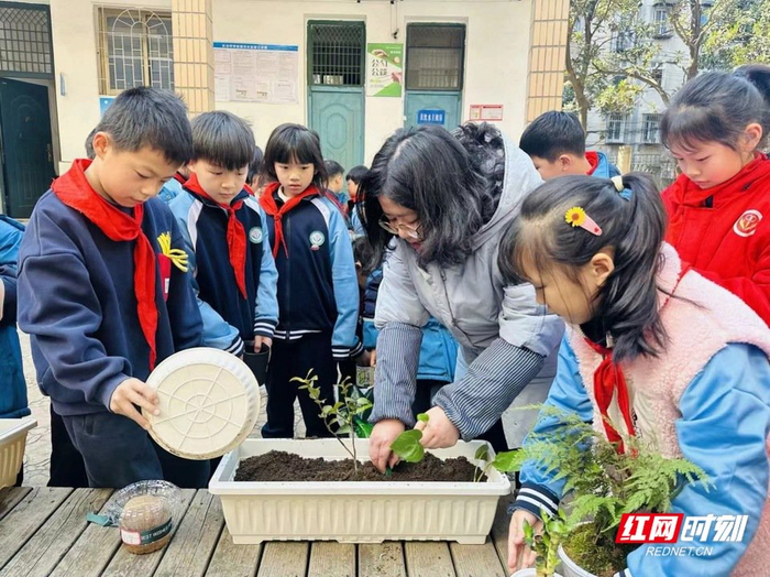 长沙市开福区国庆小学开展"植此青绿,共树未来"活动