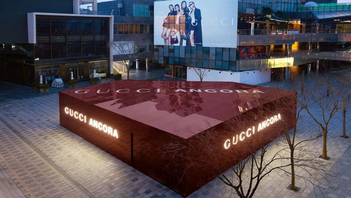 跟倪妮,张震一起走入gucci ancora|安可|倪妮|张震_新浪新闻