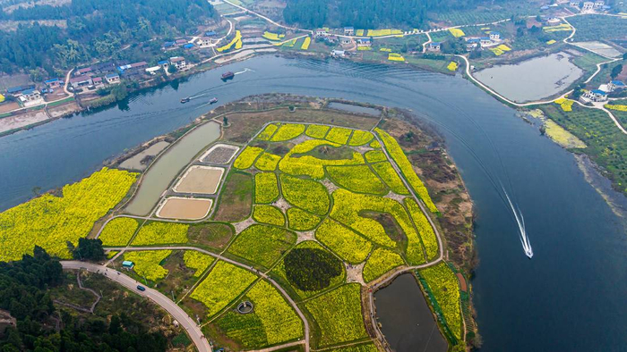 图集丨以花会友 邂逅四川资阳安岳县的最美春光|油菜花|四川省|资阳市