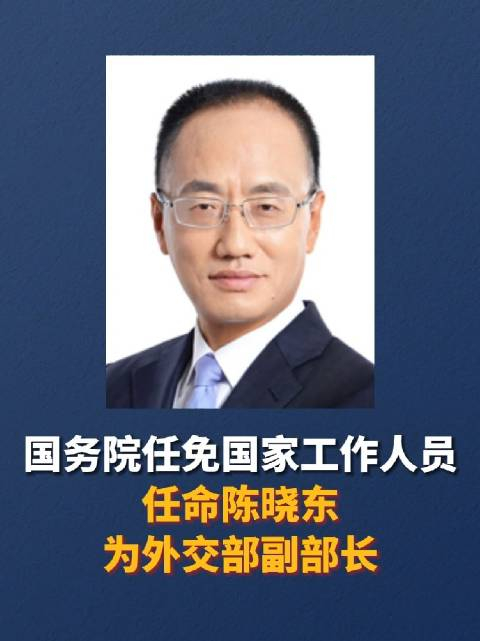 陈晓东回国,出任外交部副部长_手机新浪网