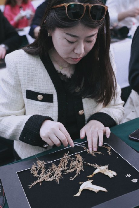 杨丙军芦苇画艺术馆|艺术馆|非遗_新浪新闻