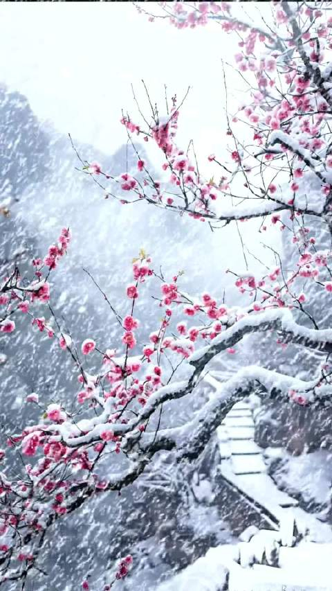 傲骨凌风百丈中冰霜压迫亦从容