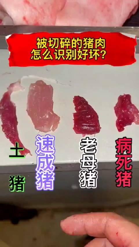 被切碎的猪肉怎么识别好坏这些辨别知识你要记牢很有用