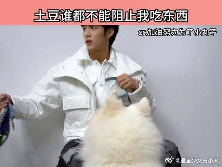 刘耀文吃的啥给我吐出来土豆你别耽误我吃东西