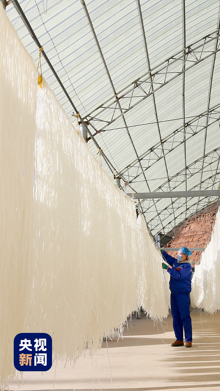 △甘肃定西，农户在晾晒粉条。