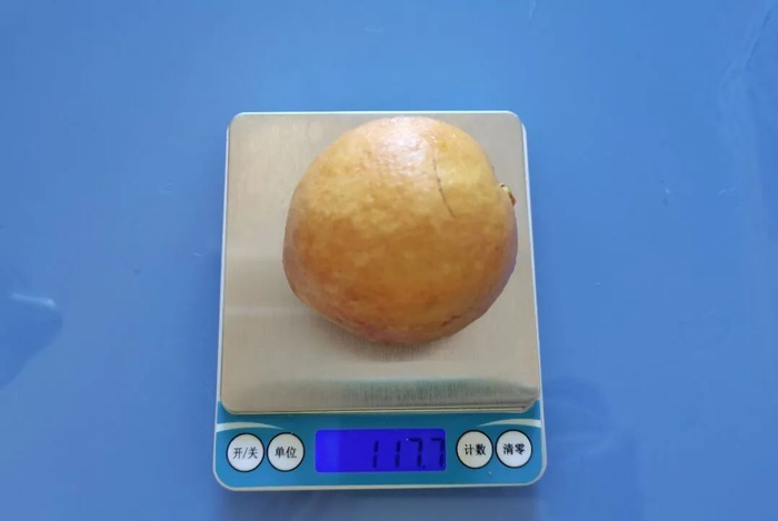 图：1 个拳头大的芭乐，约 100 克