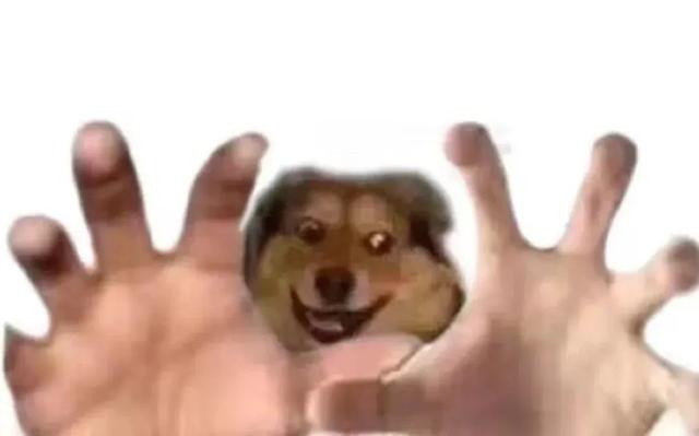 城市建设|绿化带|成都_新浪新闻