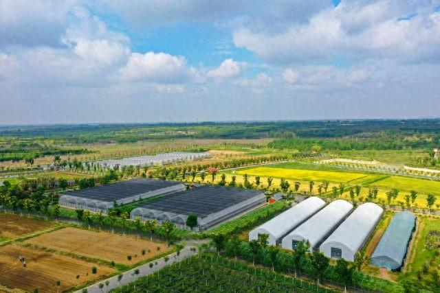 1045沈阳新闻 云记录——解民忧 纾民困 暖民心 6