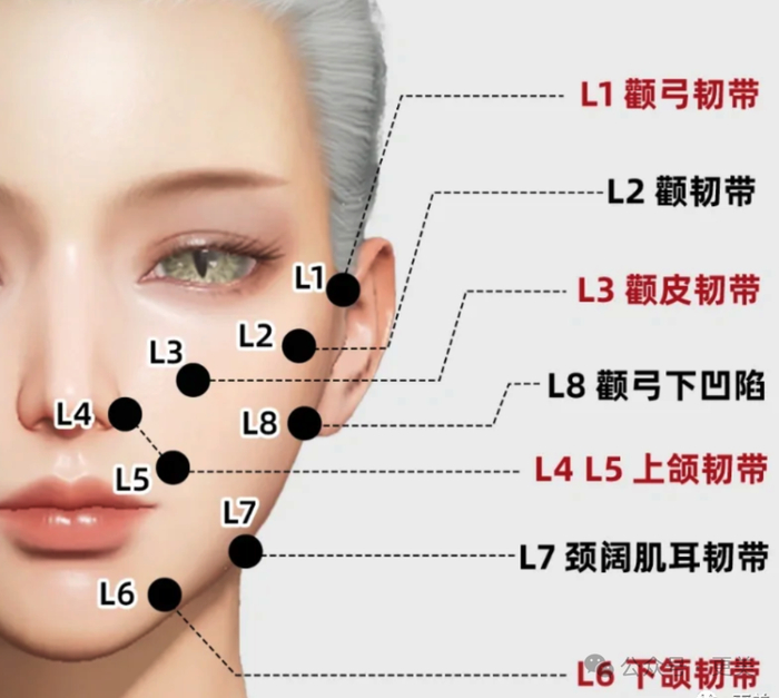 她光鼻子就整了3次!|网红_新浪新闻