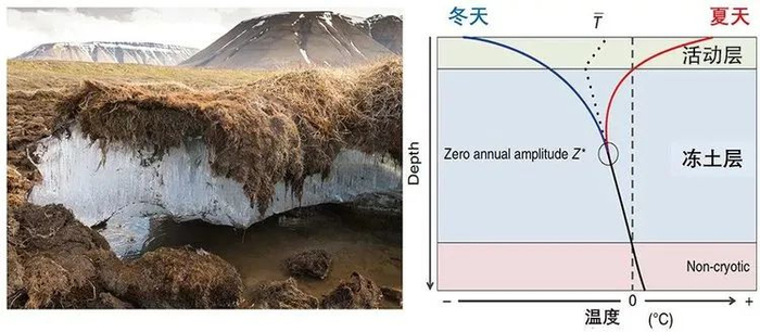 【地理专题】冻土、冻融、冻土地貌,森林是如何保持水土、涵养水源的?|枯枝|土壤|径流|冻土层|降水_新浪新闻