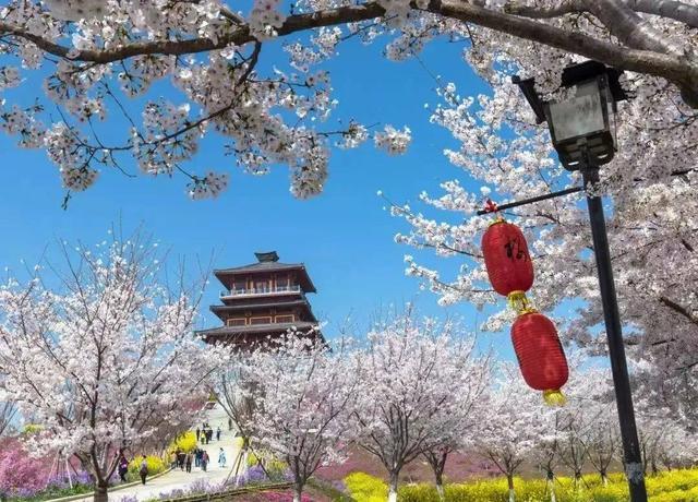 最是一年好春处郑州的这些地方惊艳你的春天