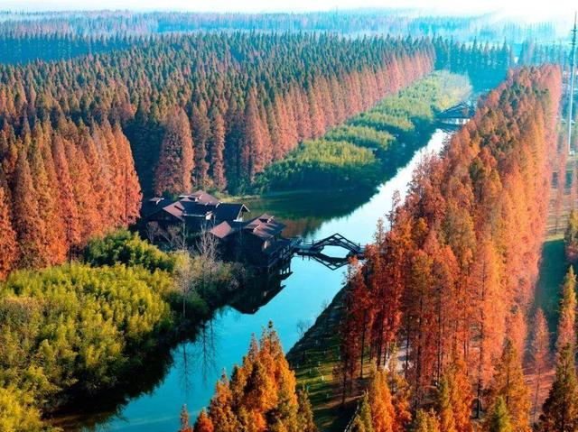 短剧 文旅,《我是猎手》背后的流量密码|我是猎手|短剧|东台_新浪新闻