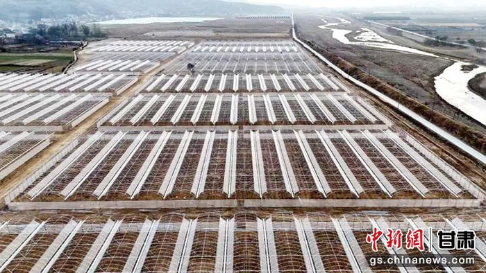 甘肃礼县一季度开工复工项目90项总投资191亿元