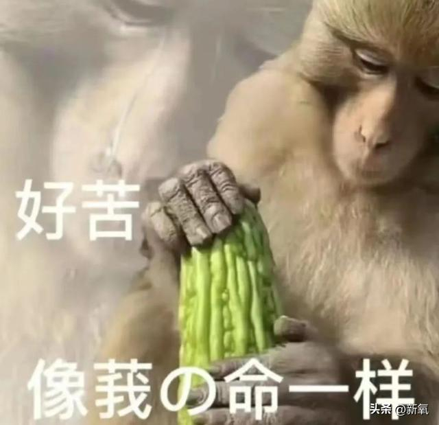 当霸总文学照进现实,为什么所有打工人却都想给他两拳?