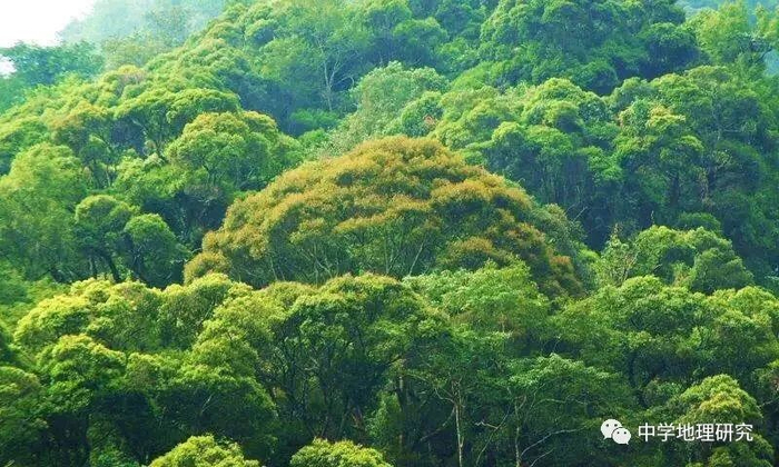 地理专题冻土冻融冻土地貌森林是如何保持水土涵养水源的