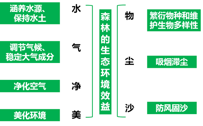 地理专题冻土冻融冻土地貌森林是如何保持水土涵养水源的