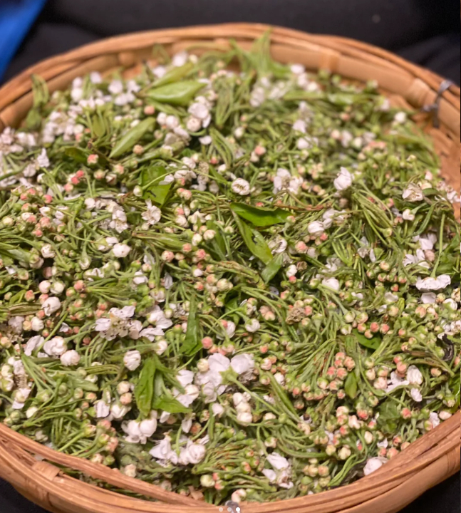 10活麻叶不要怕,吃就完了路边,沟渠边,小河小溪边水资源越好的地方,活