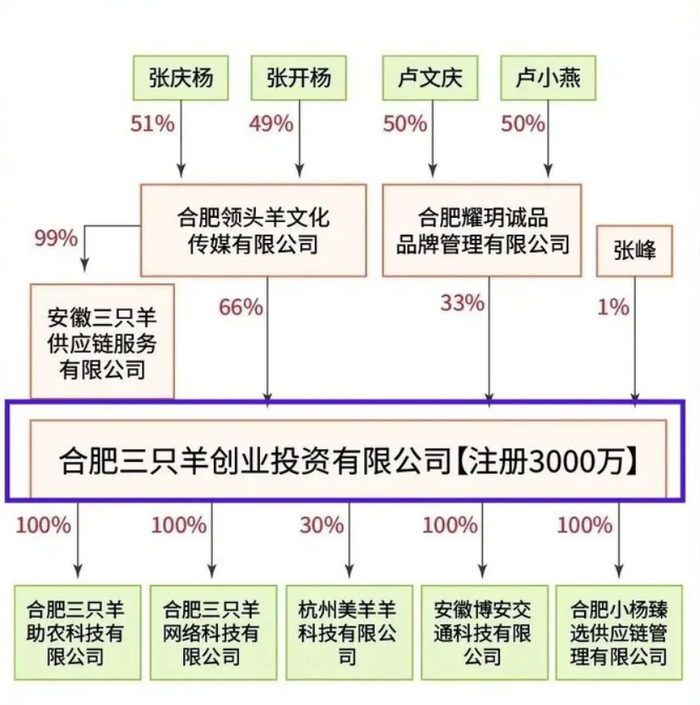 再向下看,三只羊控股100%持股了多家业务子公司,包括小杨哥带货主体"