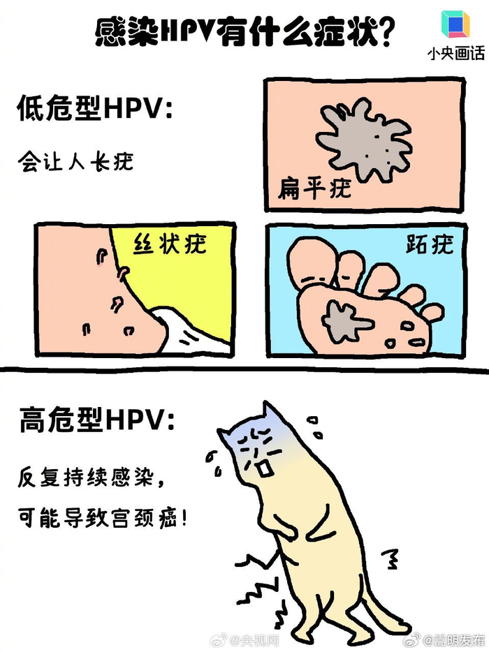 别再说hpv感染像感冒了感冒可不会致癌__财经头条