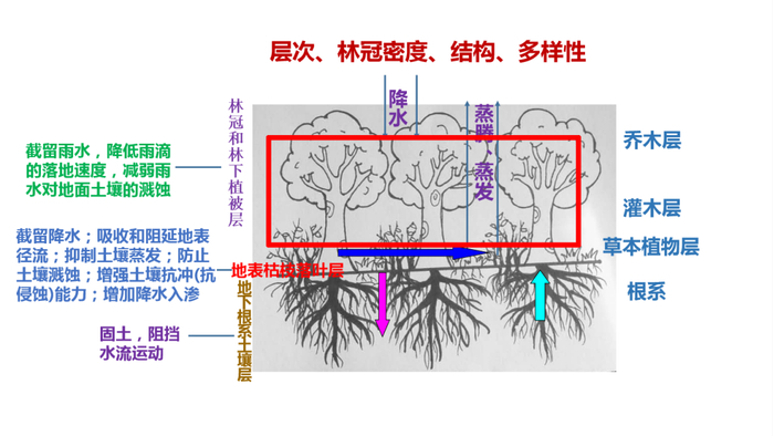 【地理专题】冻土、冻融、冻土地貌,森林是如何保持水土、涵养水源的?__财经头条