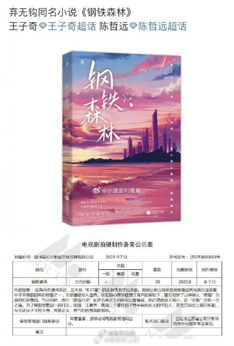 王子奇陈哲远要演弃无钩同名小说《钢铁森林》 这本不是po文吗|王子奇