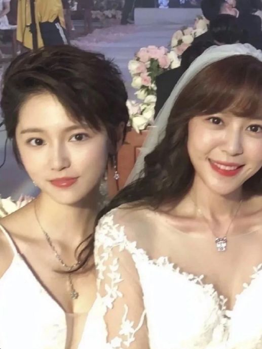 陈美嘉|爱情公寓|李金铭_新浪新闻