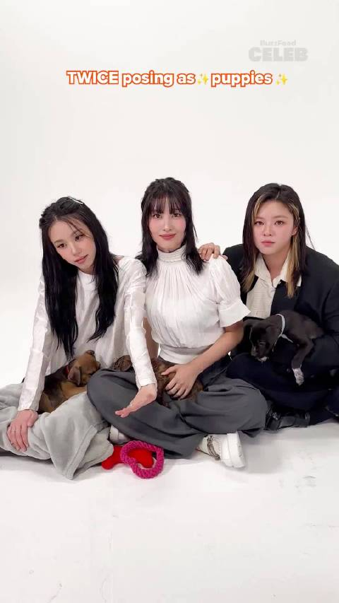 240315buzzfeedceleb更新定延相关twiceposesaspuppies