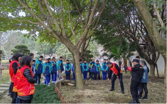 草药添绿 成都龙泉驿双槐中学师生在植树节探寻中草药之妙|龙泉驿
