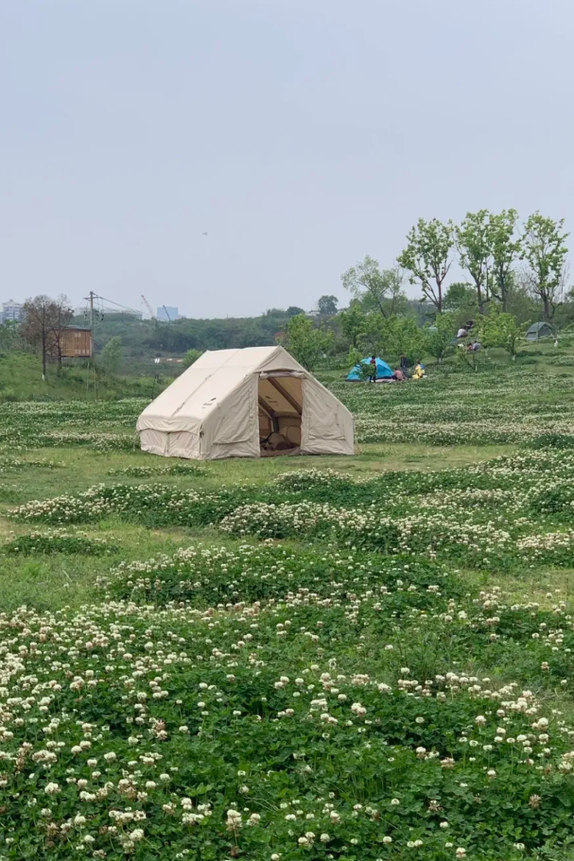 成都大面镇,好久不见|成都_新浪新闻