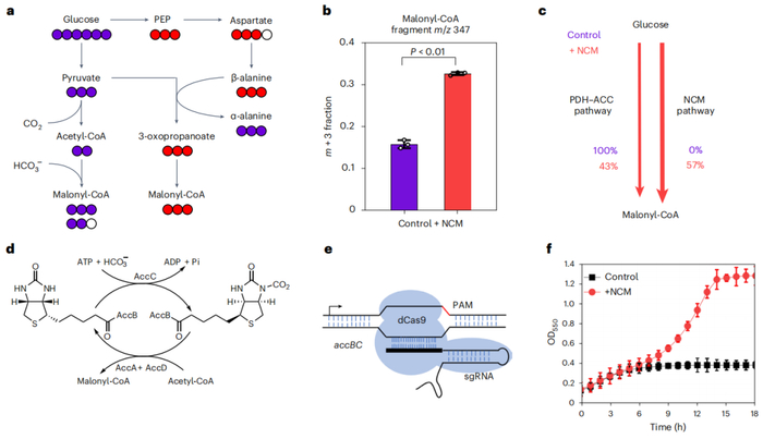 （来源：Nature Catalysis）