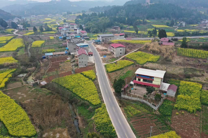 四川乐至农村公路提质升级 不只是路变宽了|物流|农产品|乐至县_新浪