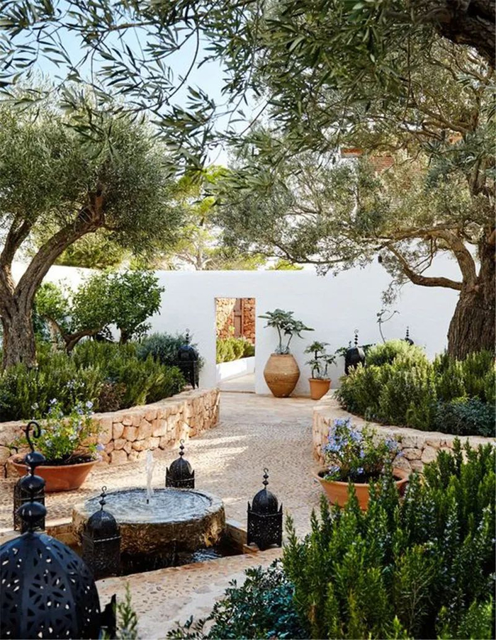 本文全知道~|庭院|植物|灌木_新浪新闻