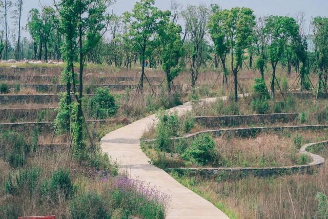 成都大面镇,好久不见|成都_新浪新闻