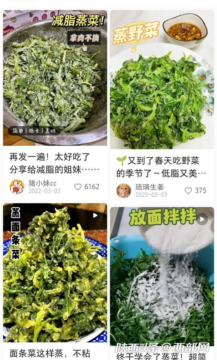 西安时令野菜抢鲜上市医生提醒特殊人群食用请注意