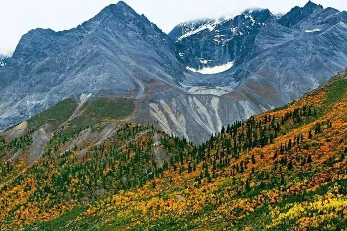 【地理专题】地理视角看林线与雪线,林线倒置(森林下限),你都清楚吗?|气温|山峰|山地|青藏高原|林带_新浪新闻