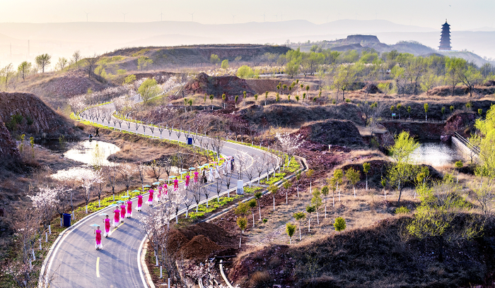 3月下旬至4月中旬,来襄城首山赏花,摘樱桃|首山|襄城县|樱桃沟_新浪