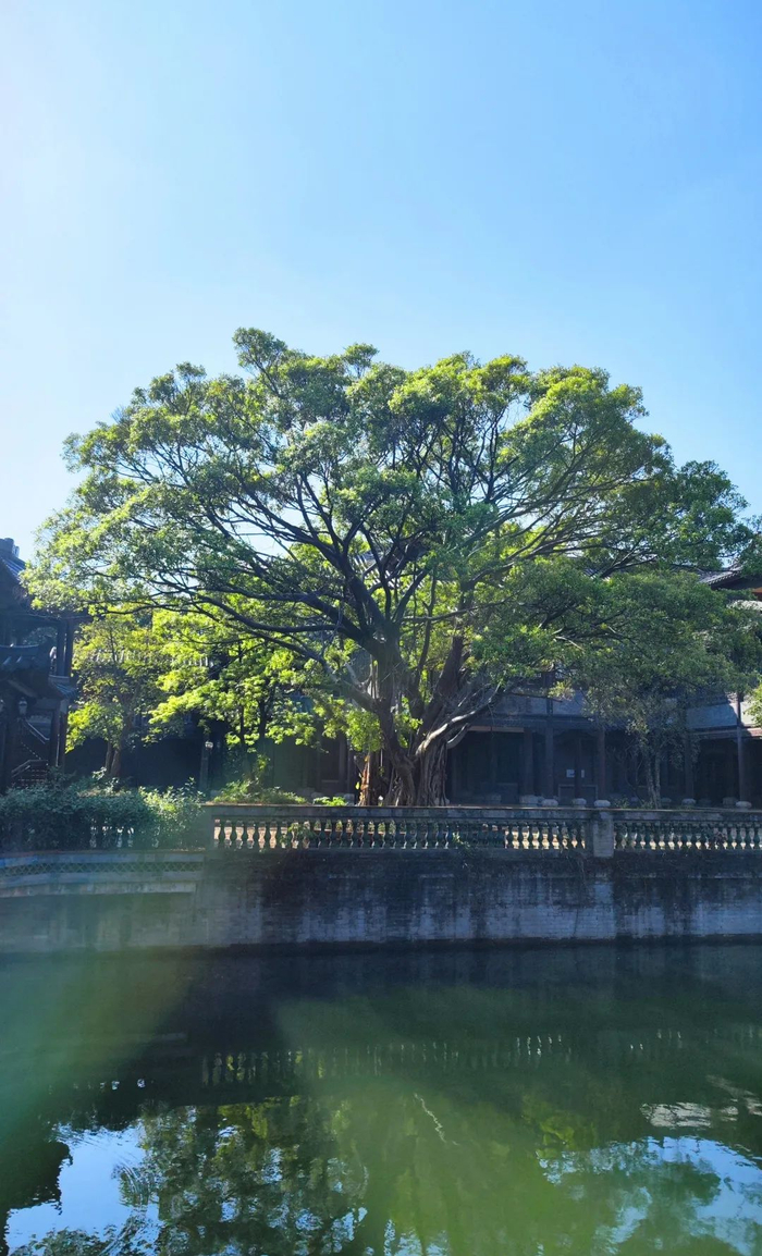 欣赏两岸美景,真的很哇塞~令人惊讶的是,粤晖园拥有楼馆,亭台,水榭,曲