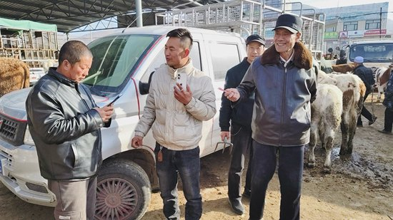 　　3月14日，兴隆镇当地青年肉牛销售经纪人（中）与卖方交流订单。西吉县兴隆镇供图