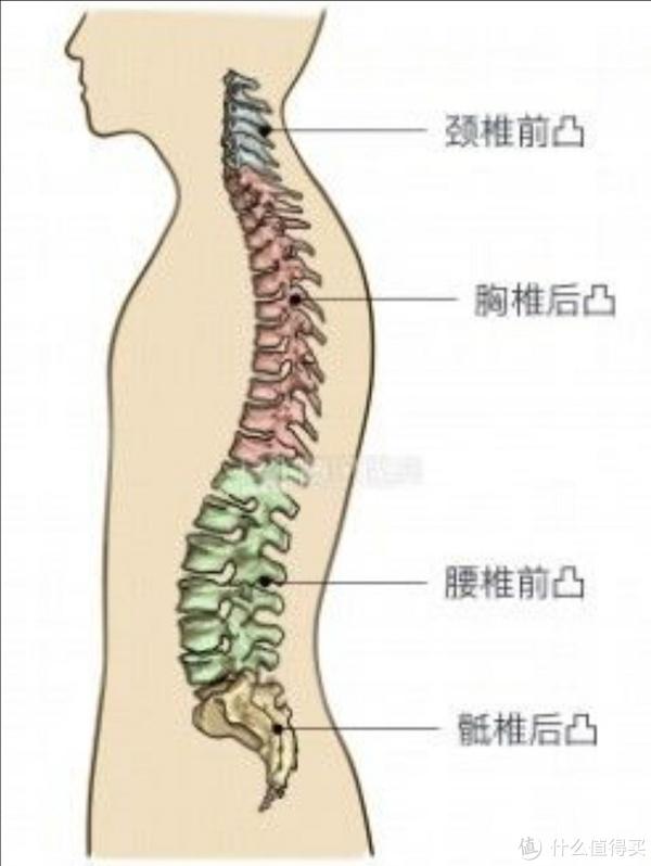 床垫选的好,睡觉才能好