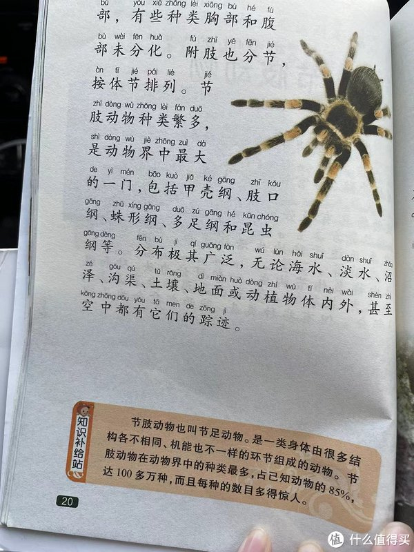 中国孩子的百科全书之节肢动物