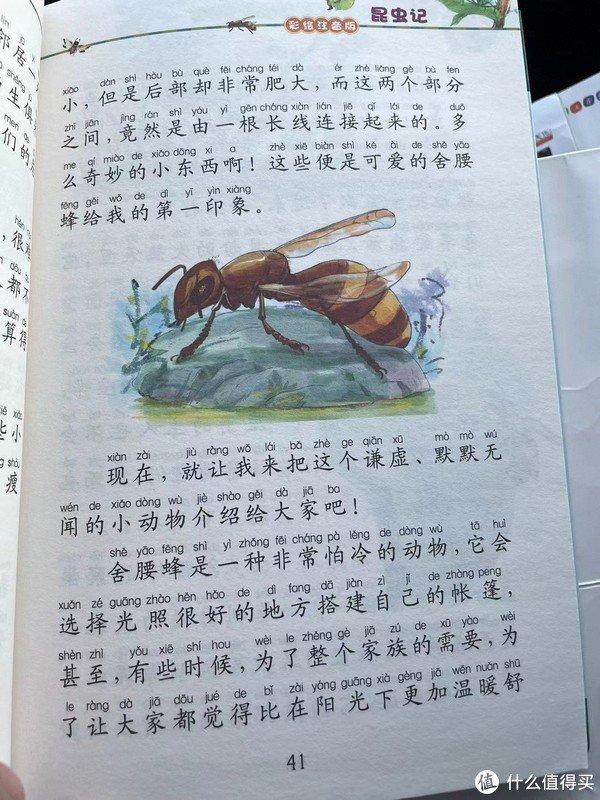 舍腰蜂卡通图片