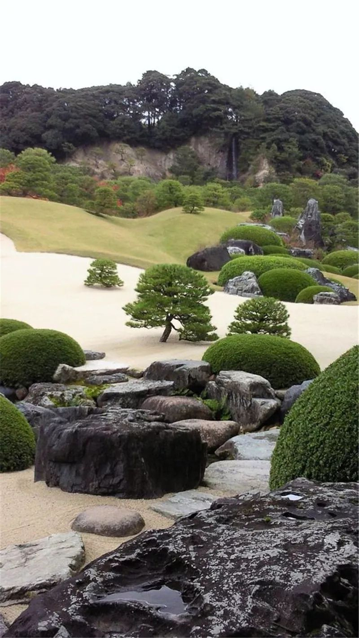 不同风格庭院,该怎样进行植物配置!本文全知道